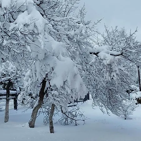 Wypoczynkowe - Caloroczne. * Wysowa-Zdrój