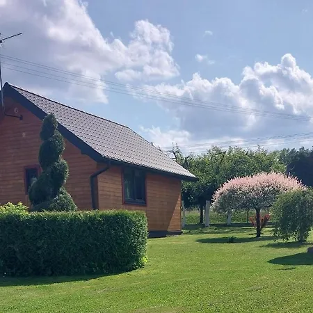 Wypoczynkowe - Caloroczne.